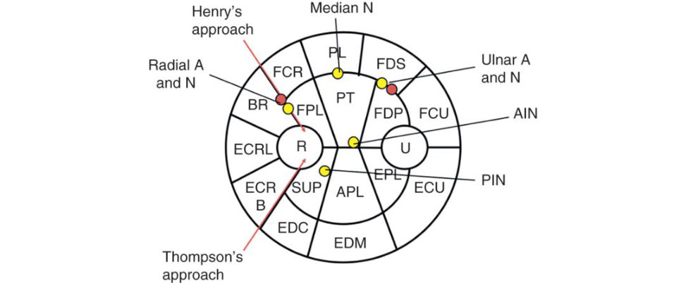 Figure 31.8