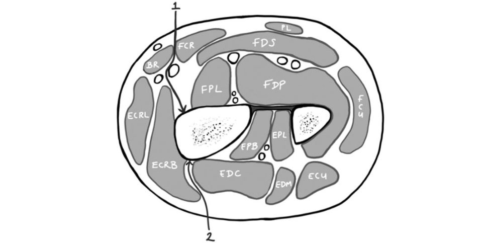 Figure 31.9
