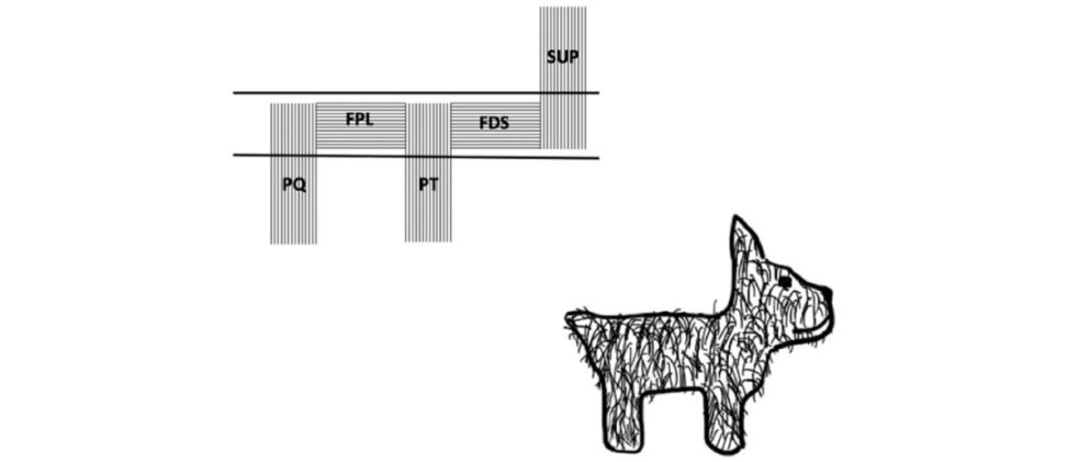 Figure 31.10