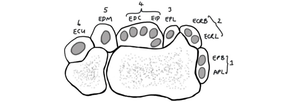 Figure 31.12