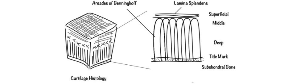 Figure 31.26