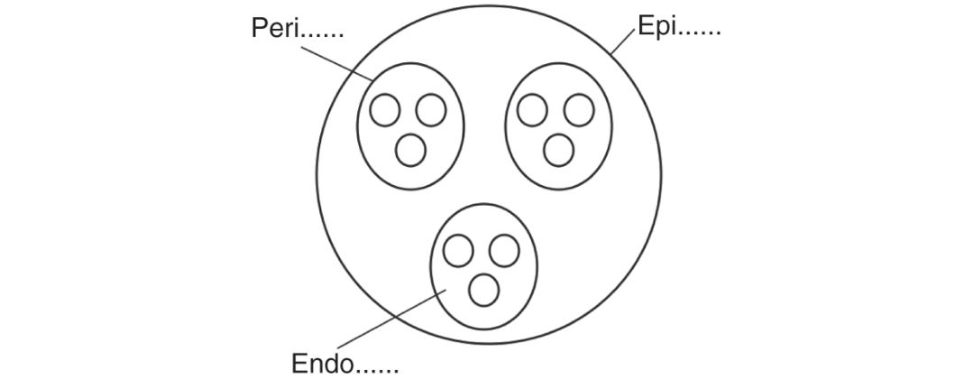 Figure 31.30