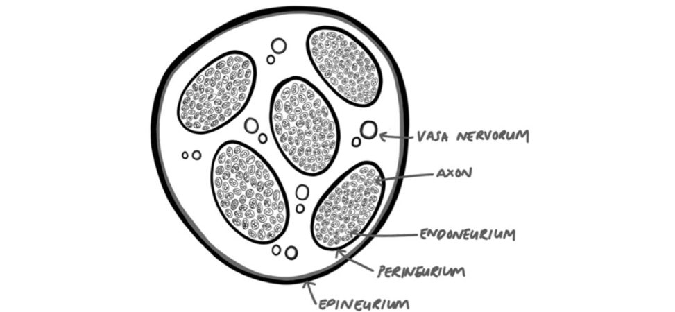 Figure 31.32