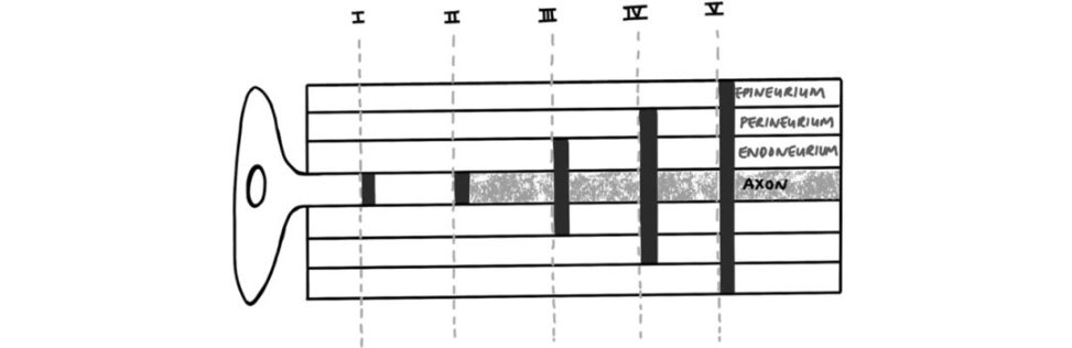 Figure 31.34