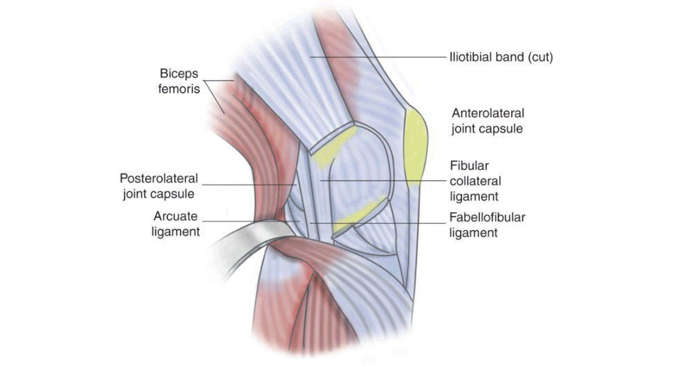 Figure 4.2