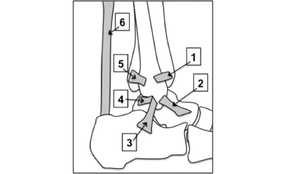 Figure 5.1